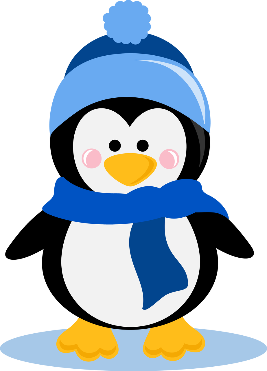 penguin in blue hat and scarf