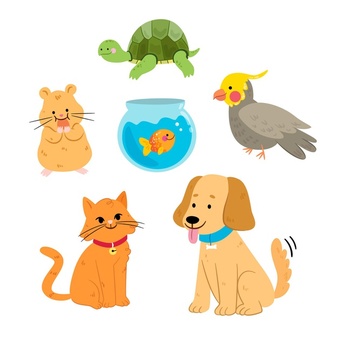 different pets including hamsters, turtle, finch, goldfish, can and dog